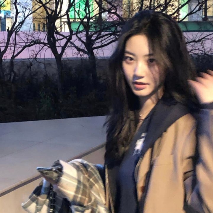 史酷比狗