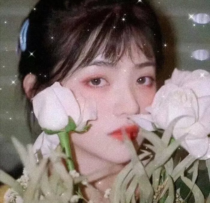 冬眠者